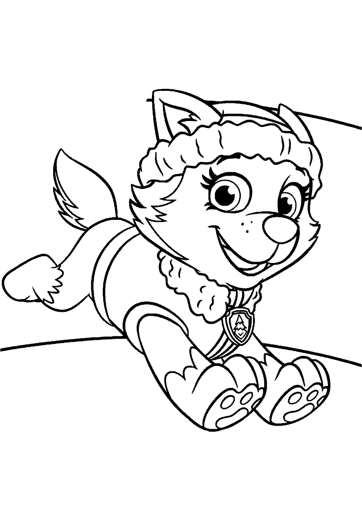 patrulha canina para colorir