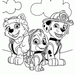 patrulha canina para colorir