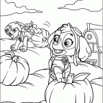 patrulha canina para colorir