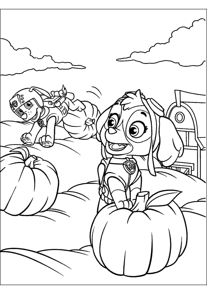 patrulha canina para colorir