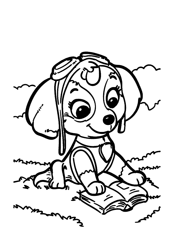 patrulha canina para colorir