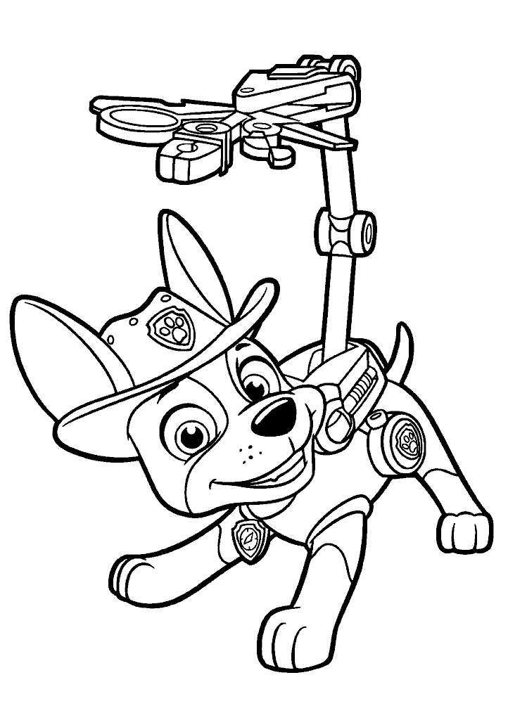 patrulha canina para colorir