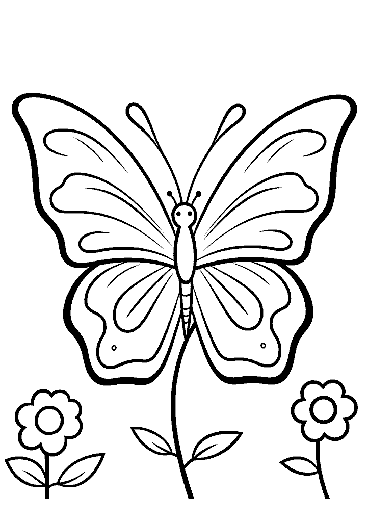 borboleta para colorir