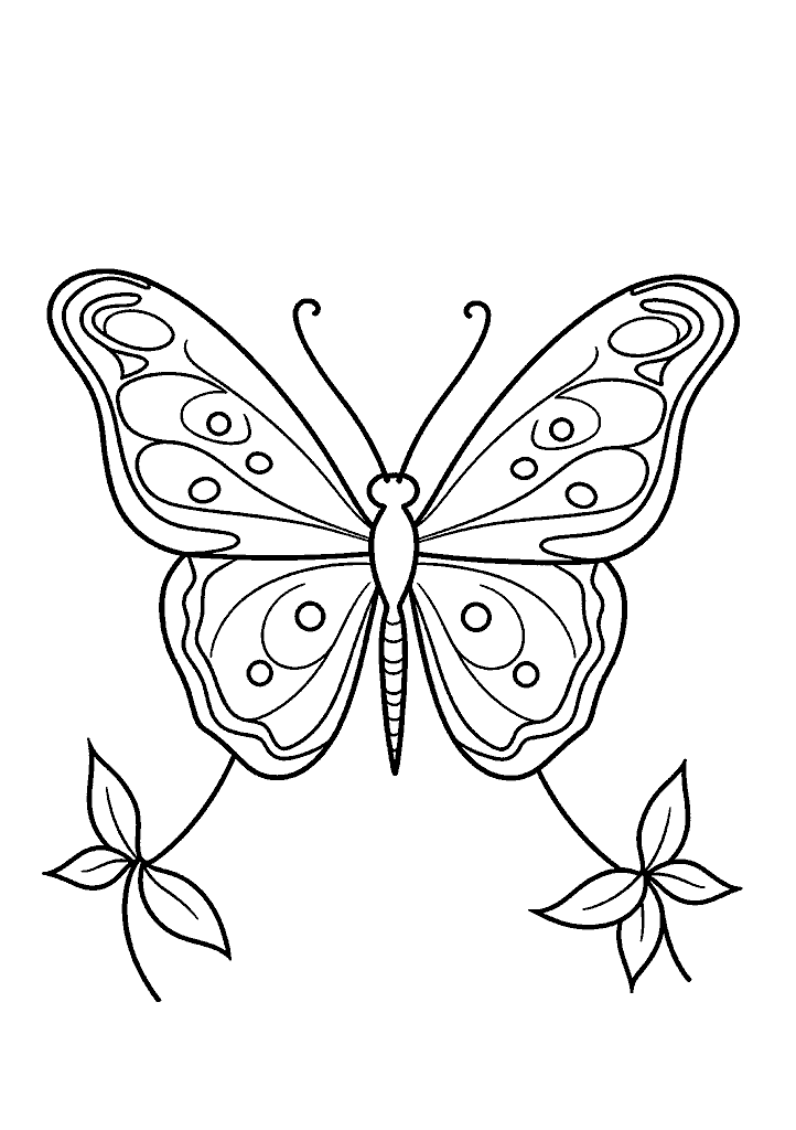 borboleta para colorir