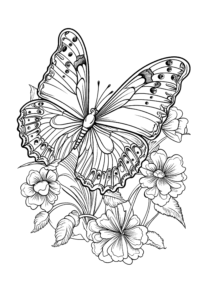 borboleta para colorir