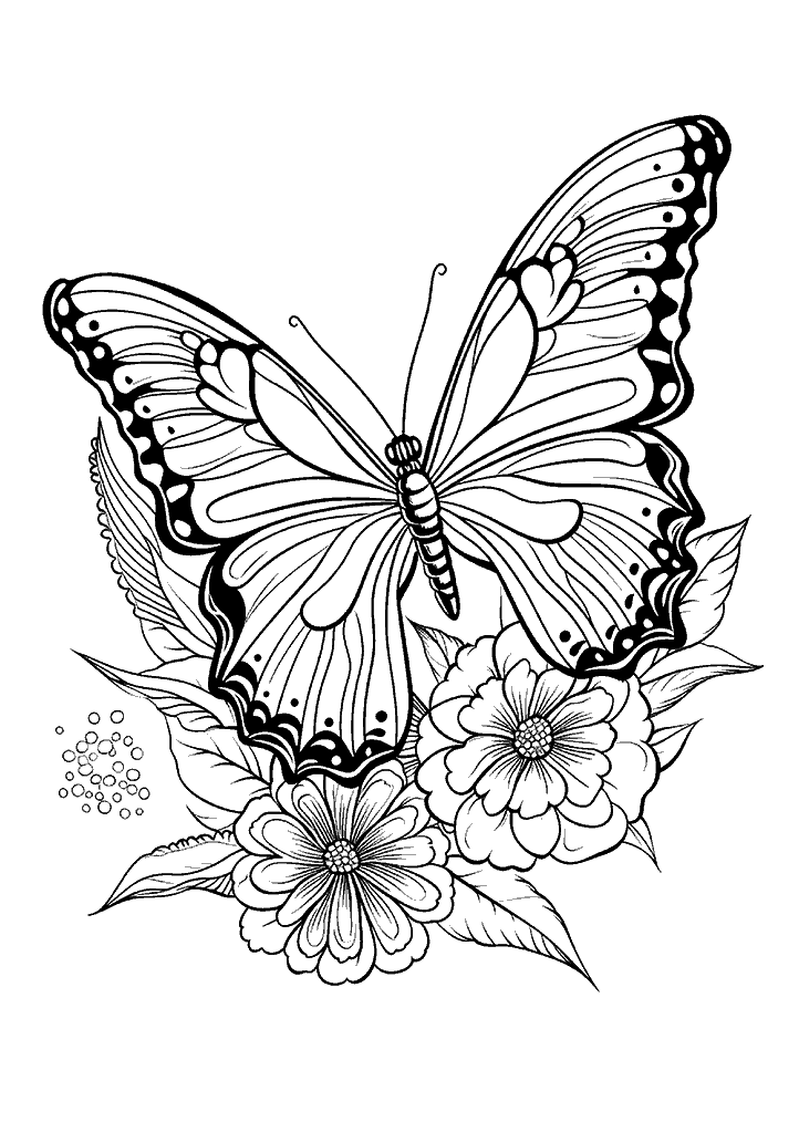 borboleta para colorir