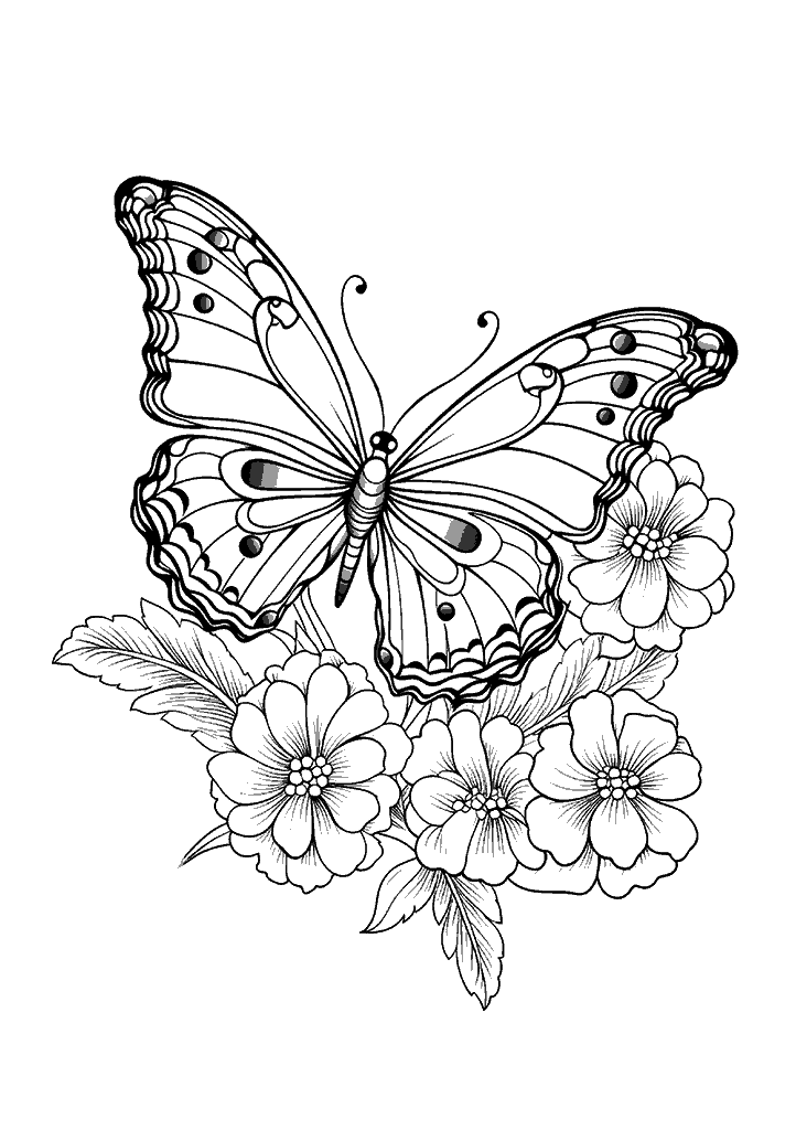 borboleta para colorir