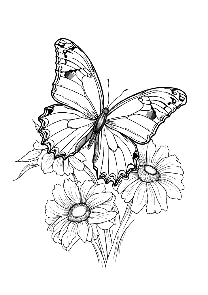 borboleta para colorir