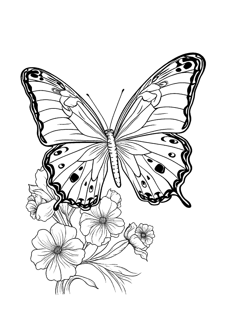 borboleta para colorir