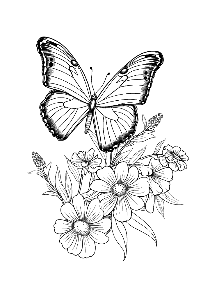 borboleta para colorir