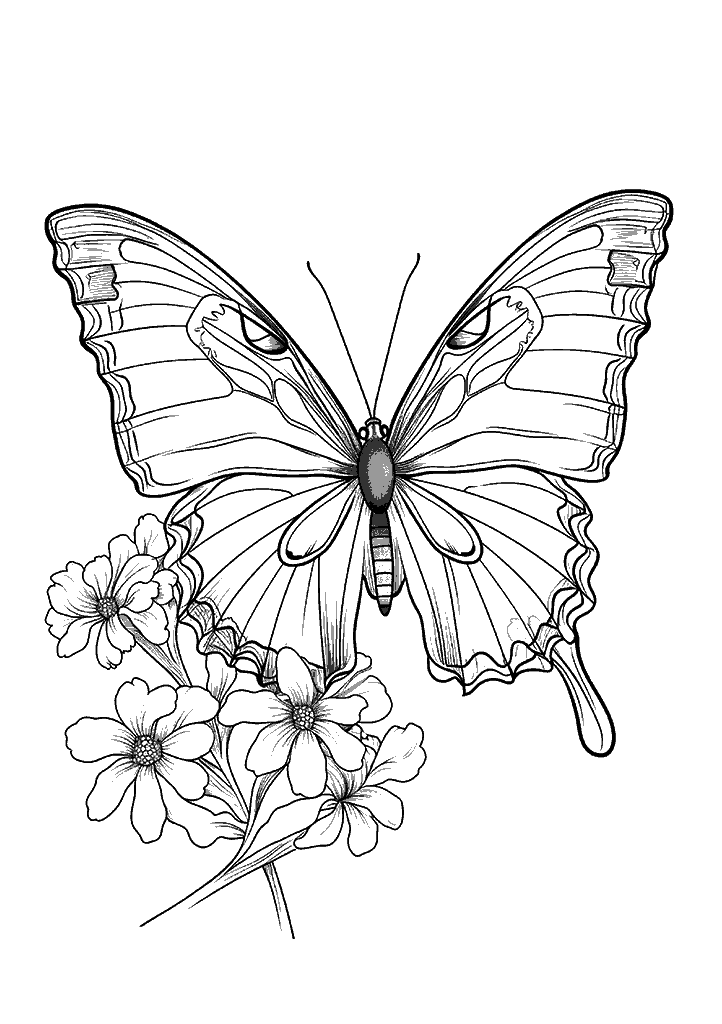 borboleta para colorir