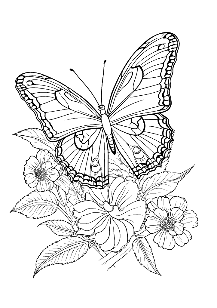 borboleta para colorir