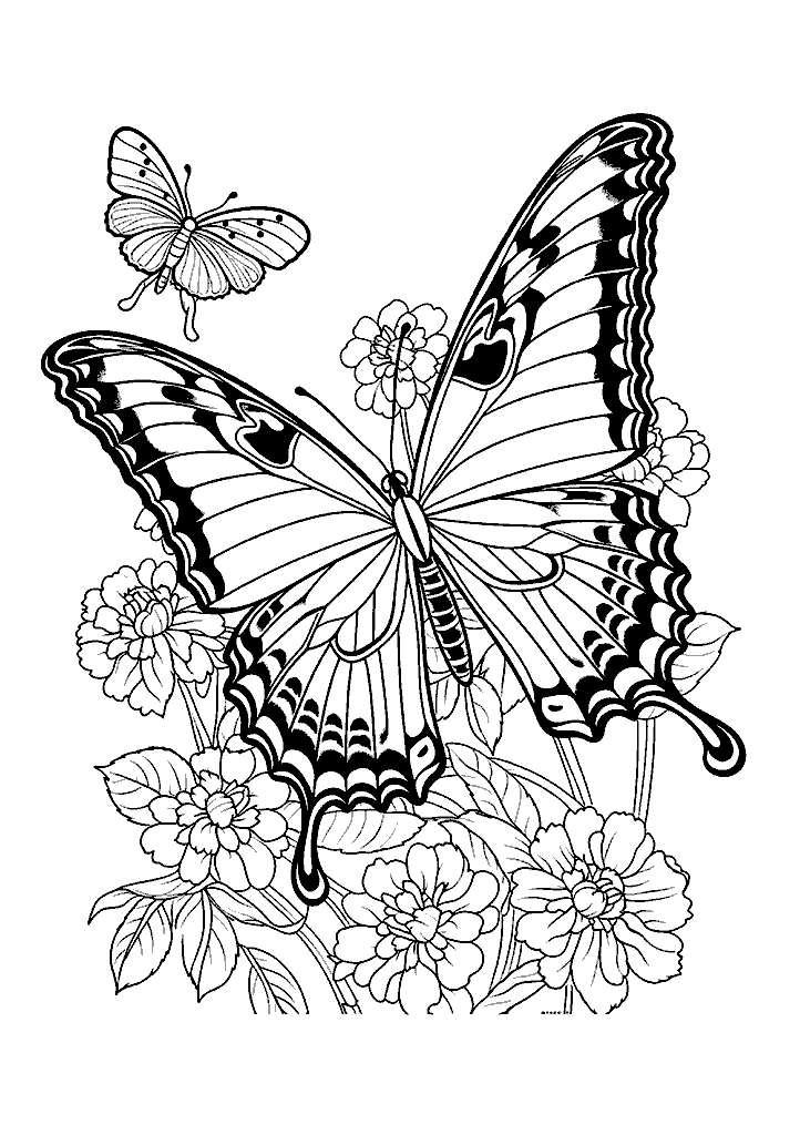 borboleta para colorir
