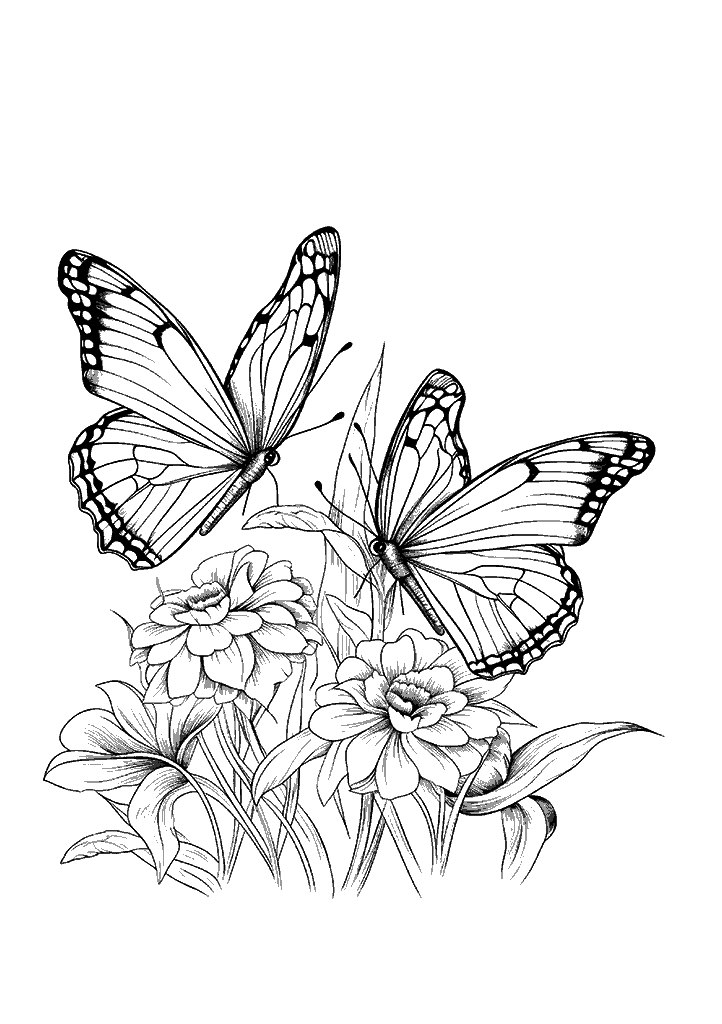 borboleta para colorir