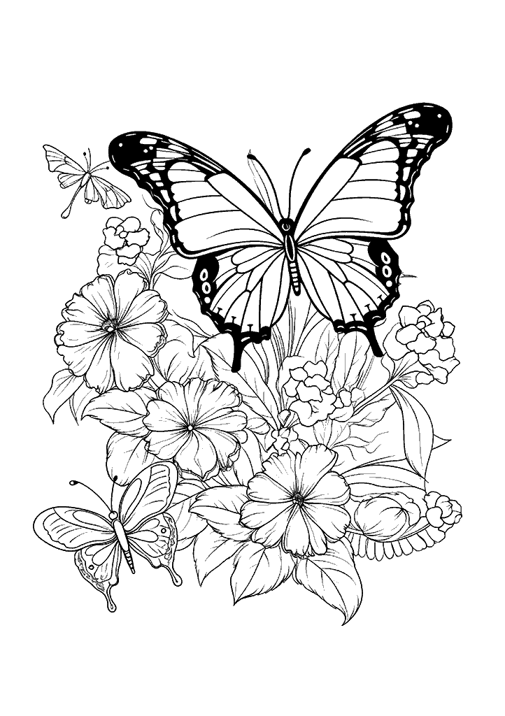 borboleta para colorir
