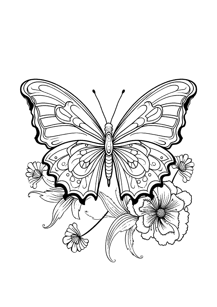 borboleta para colorir