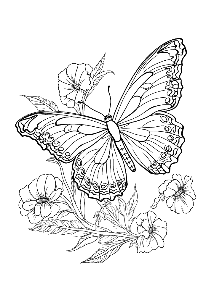 borboleta para colorir