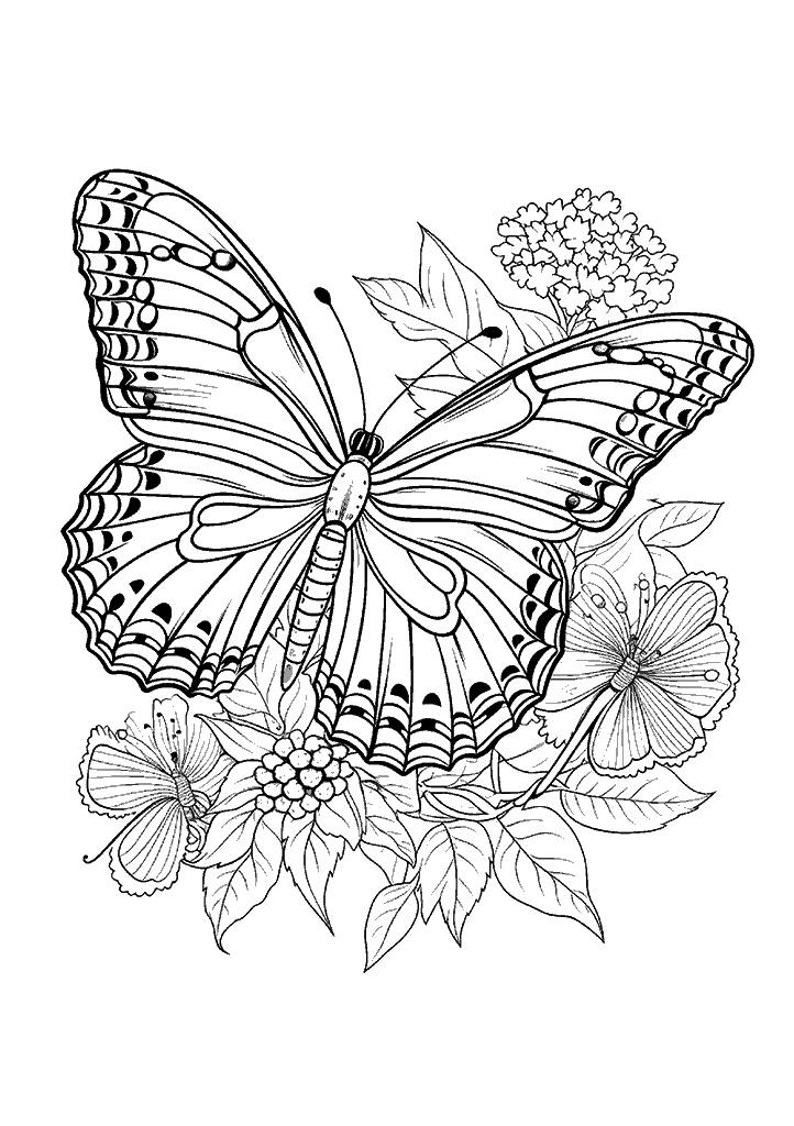 borboleta para colorir