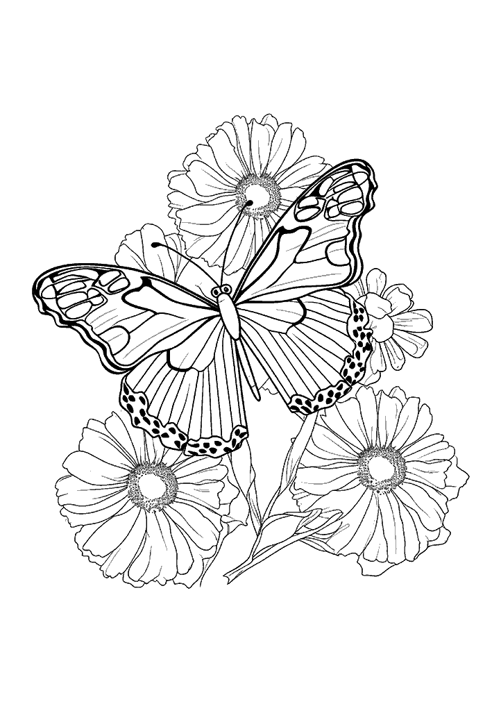 borboleta para colorir
