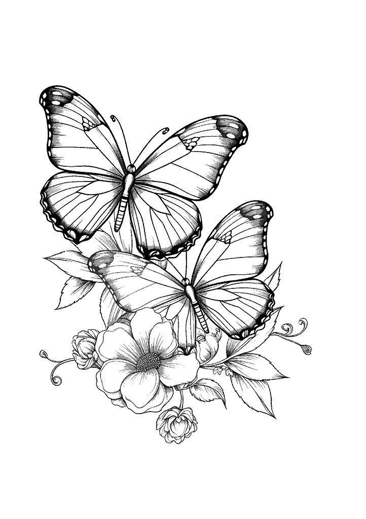 borboleta para colorir