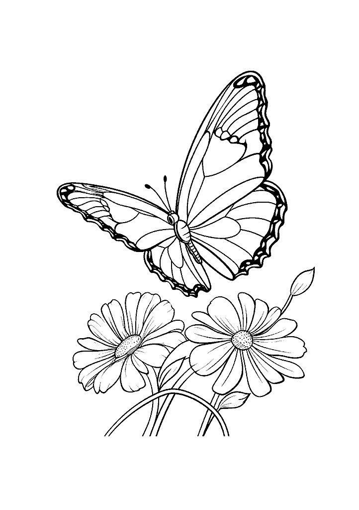 borboleta para colorir