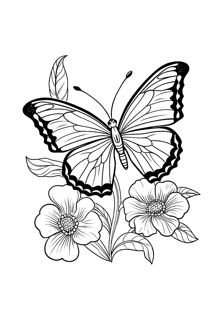 borboleta para colorir