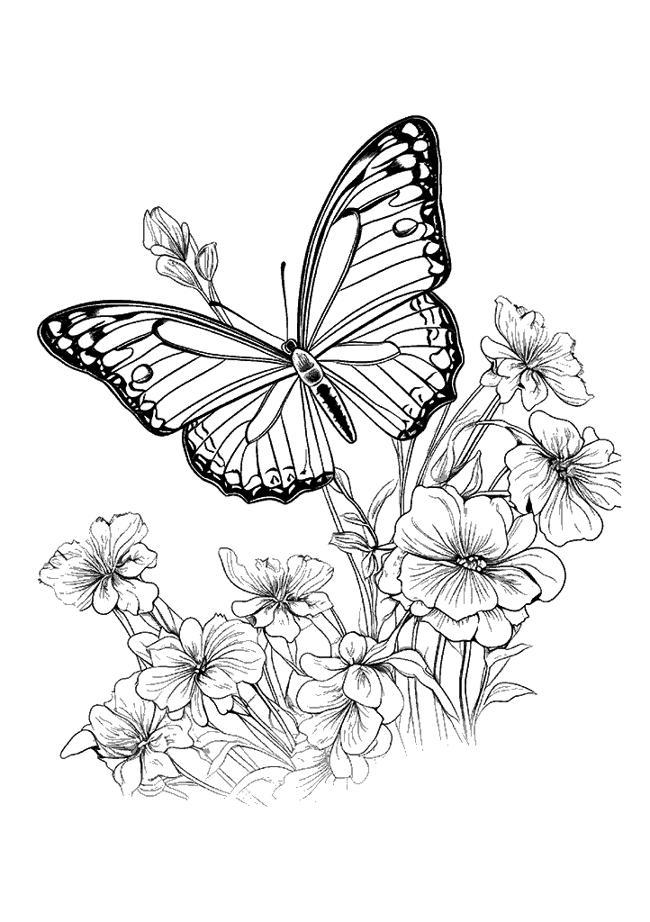 borboleta para colorir