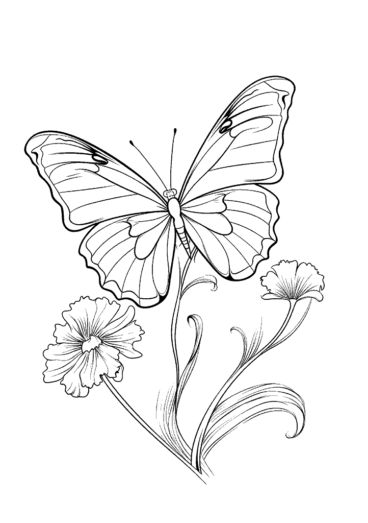 borboleta para colorir