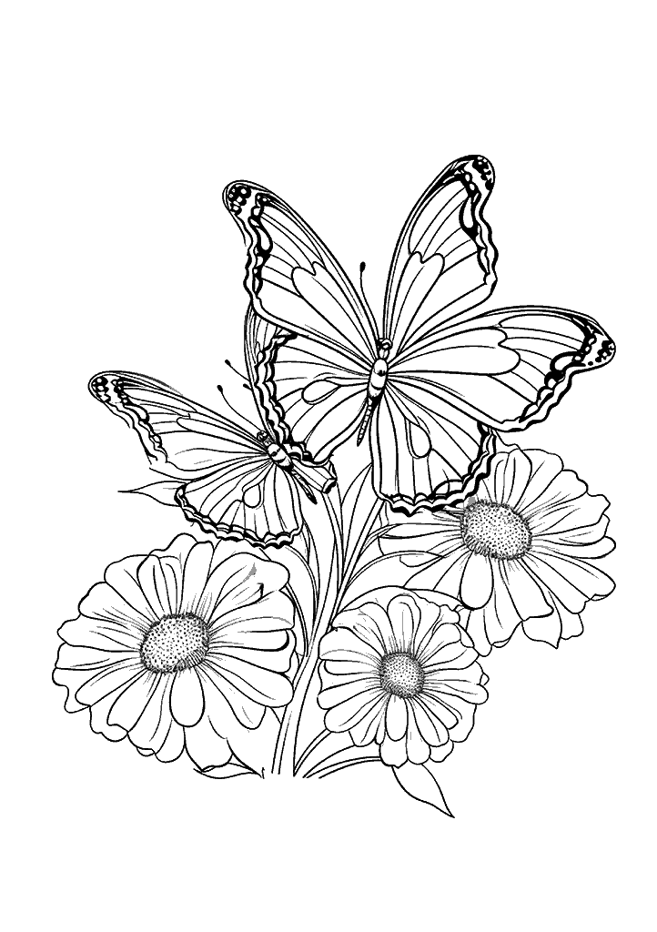 borboleta para colorir