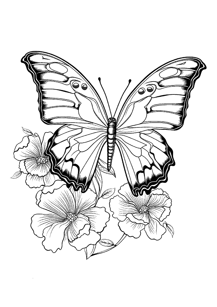 borboleta para colorir