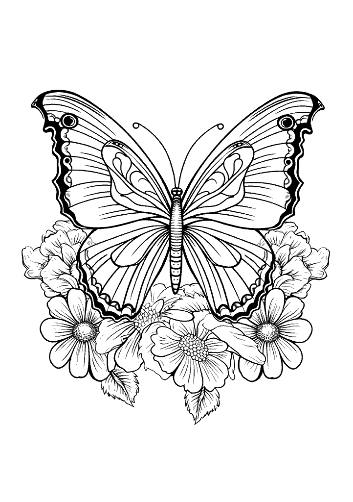 borboleta para colorir