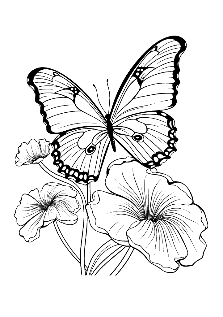 borboleta para colorir