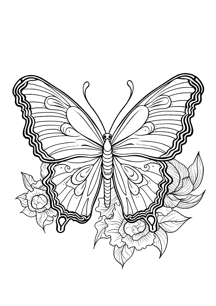 borboleta para colorir