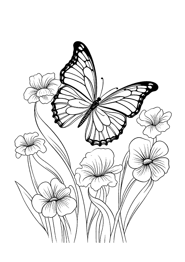 borboleta para colorir