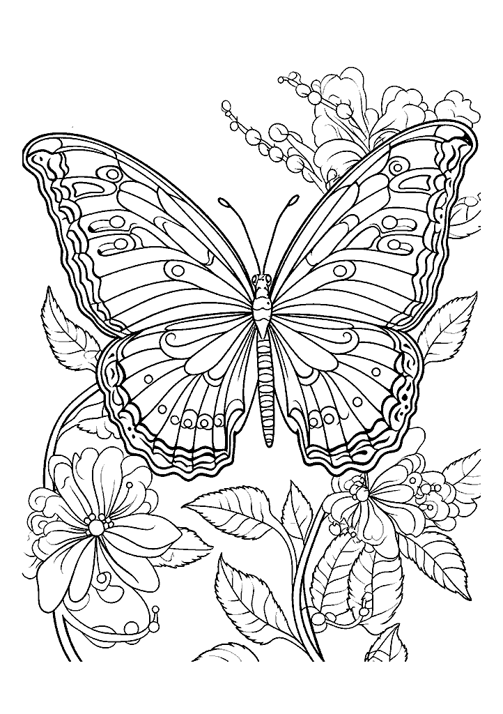 borboleta para colorir