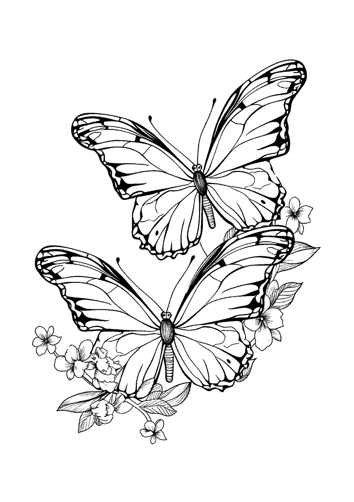 borboleta para colorir