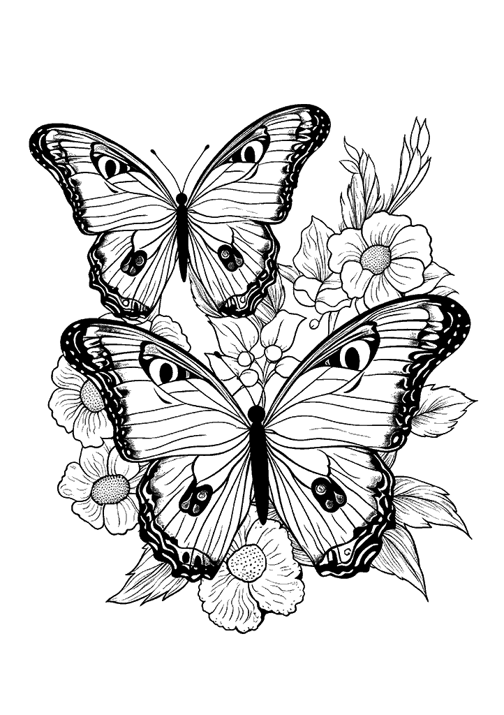 borboleta para colorir