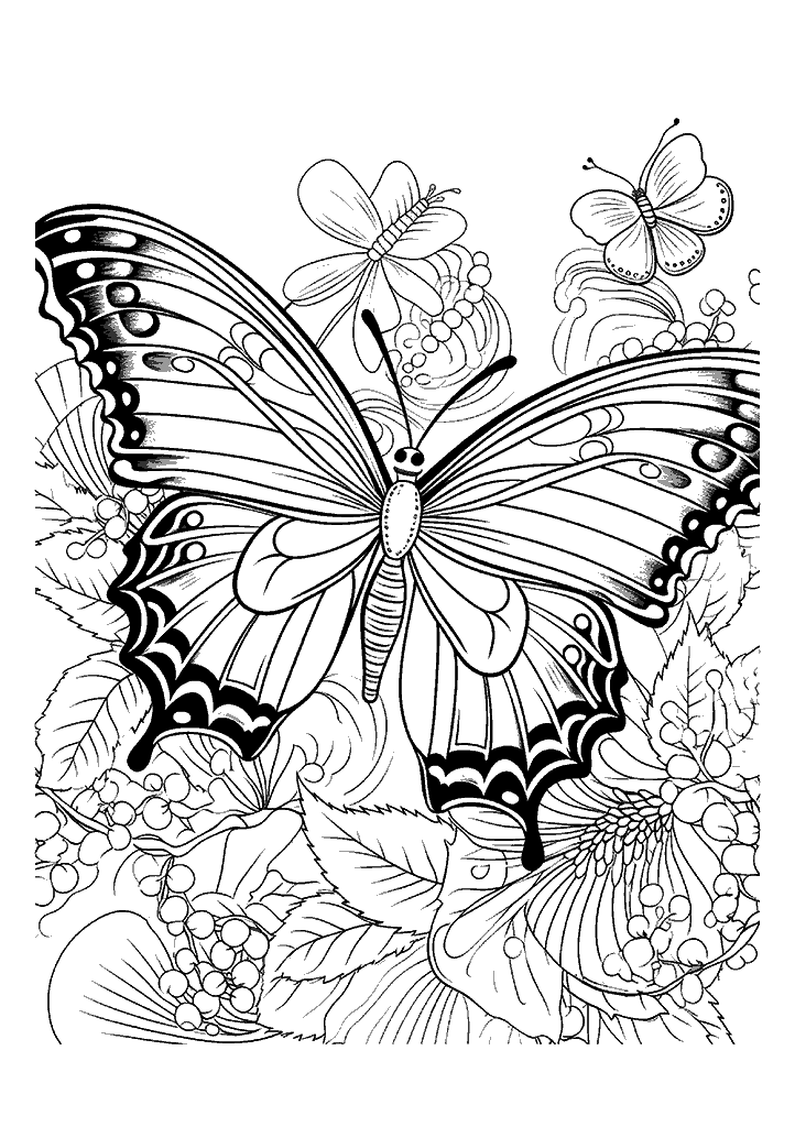 borboleta para colorir