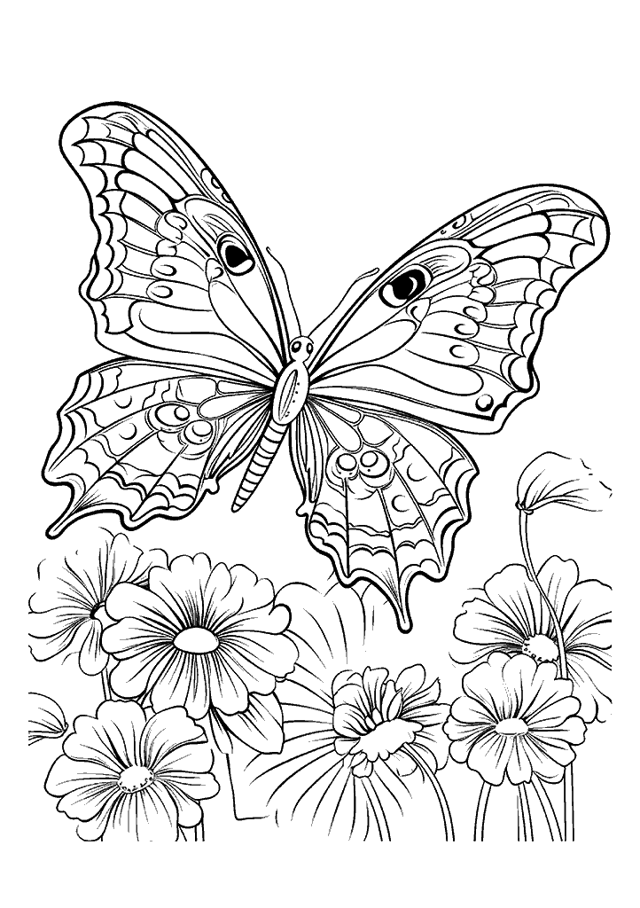 borboleta para colorir