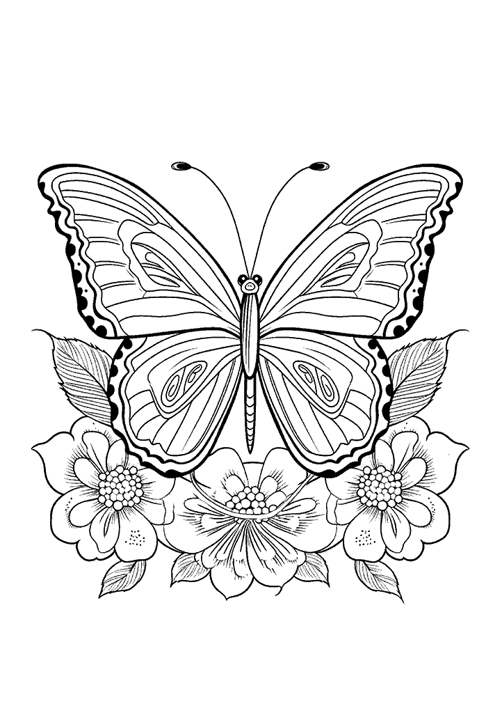 borboleta para colorir