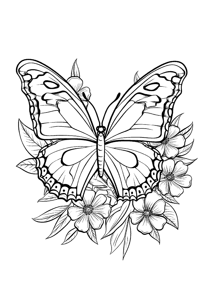 borboleta para colorir