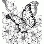 borboleta para colorir