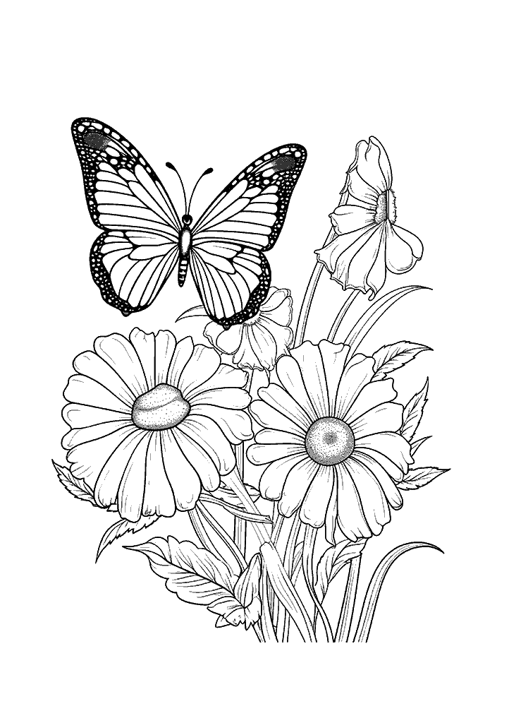 borboleta para colorir