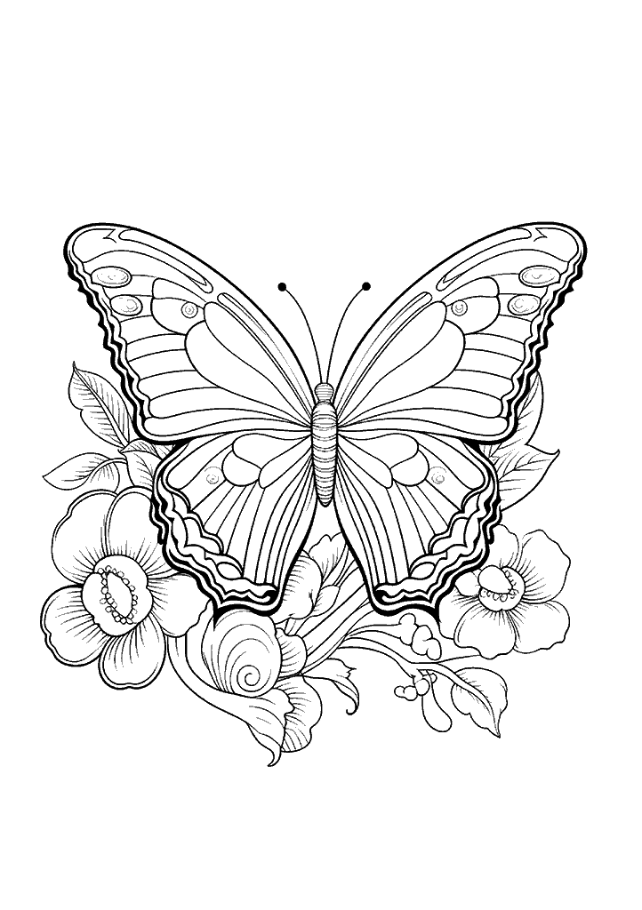 borboleta para colorir