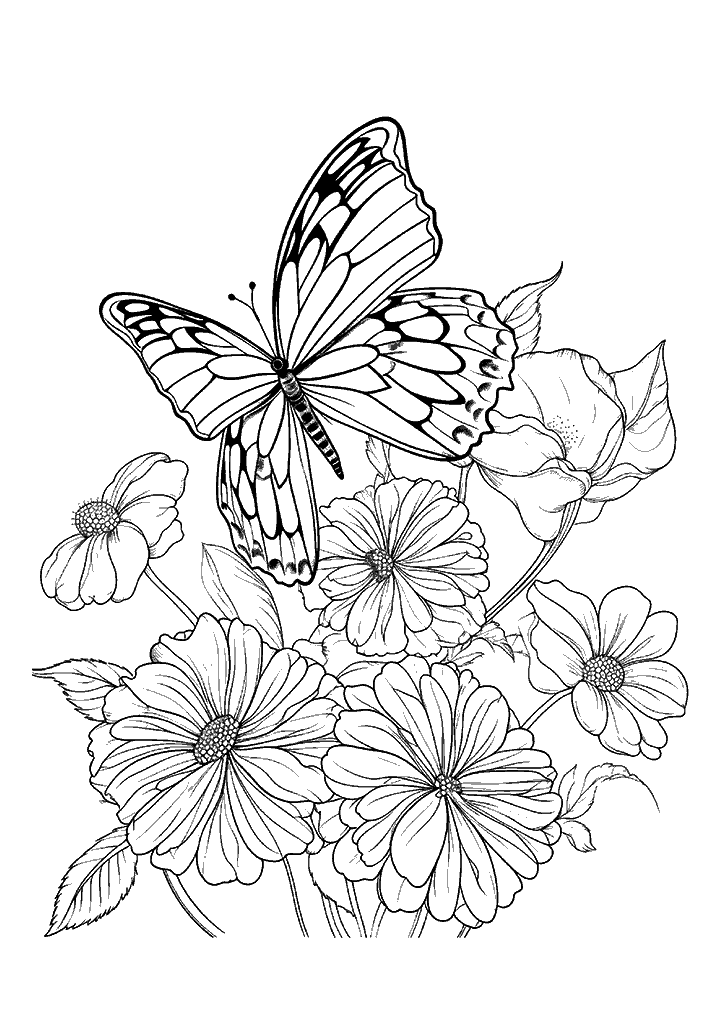 borboleta para colorir