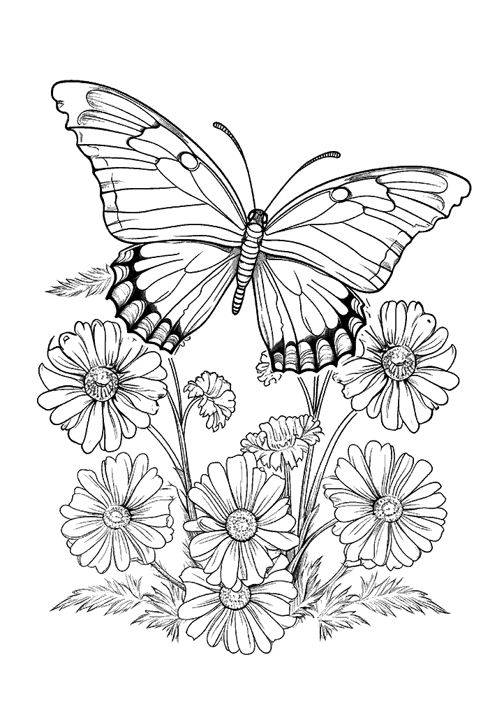 borboleta para colorir