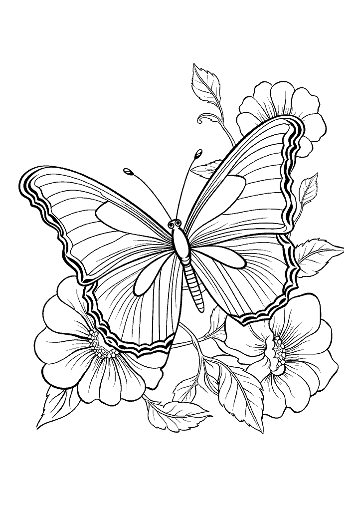 borboleta para colorir