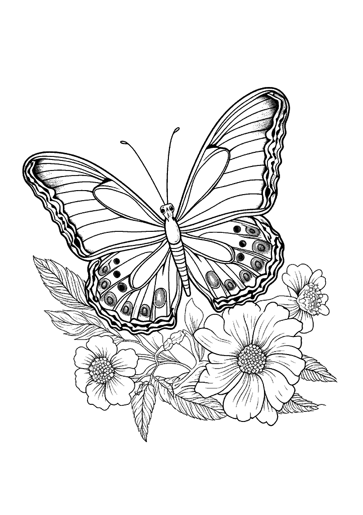 borboleta para colorir