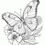 borboleta para colorir