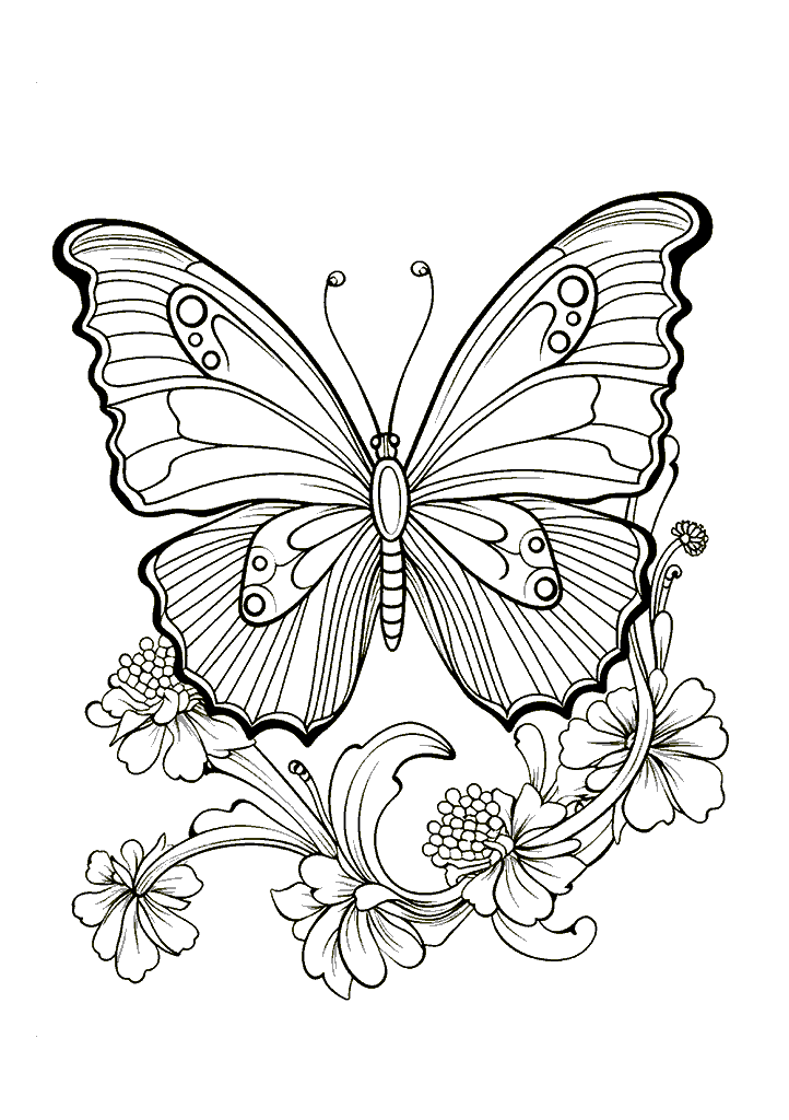 borboleta para colorir